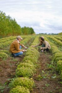 Agriculture Jobs in Japan